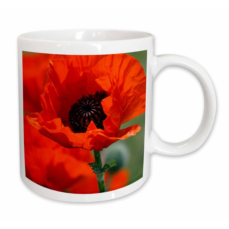 East Urban Home Beautiful Poppy Coffee Mug Wayfair